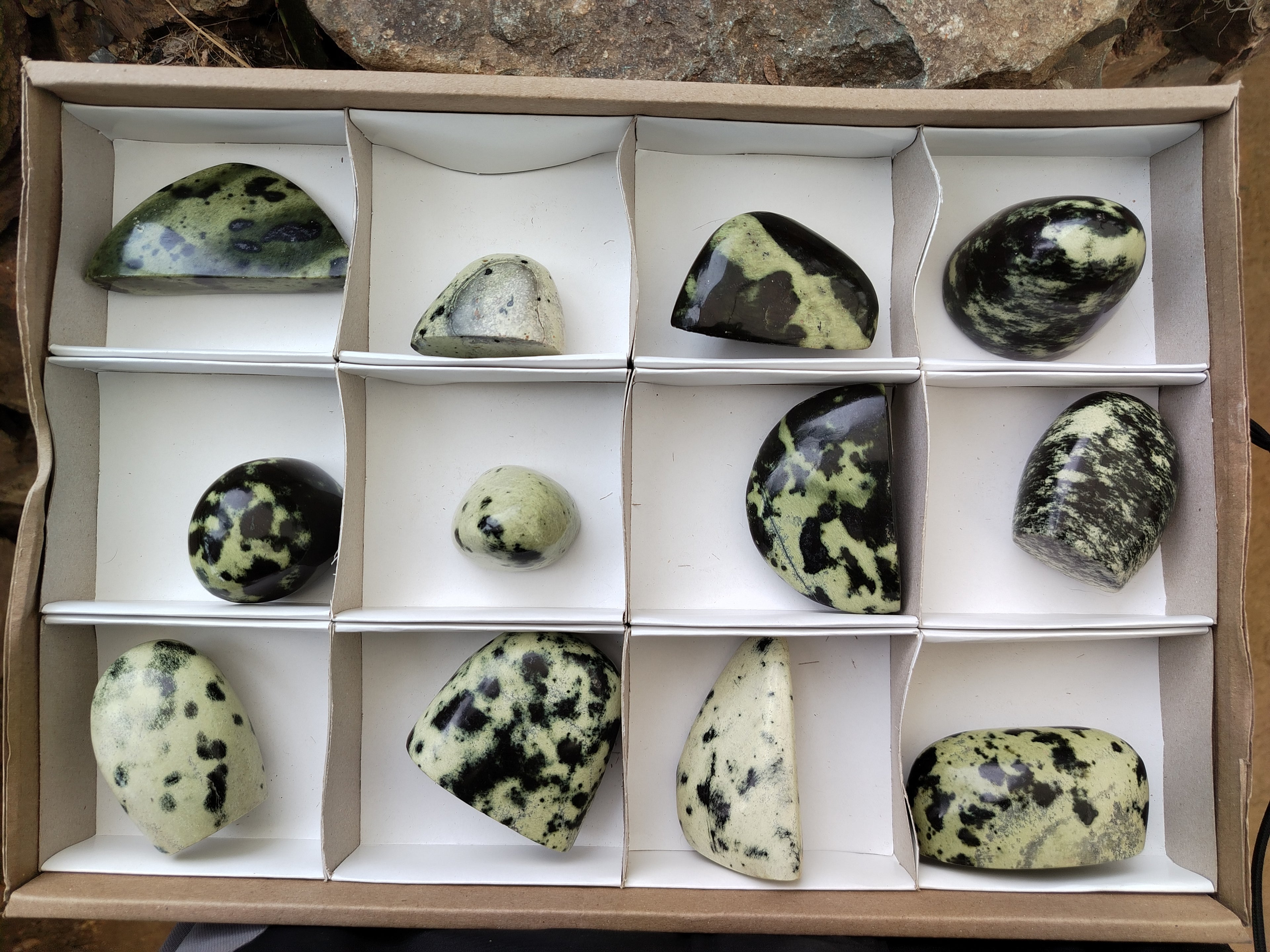 Polished Leopard Stone Standing Free Forms x 12 From Nyanga, Zimbabwe - Toprock Gemstones and Minerals 