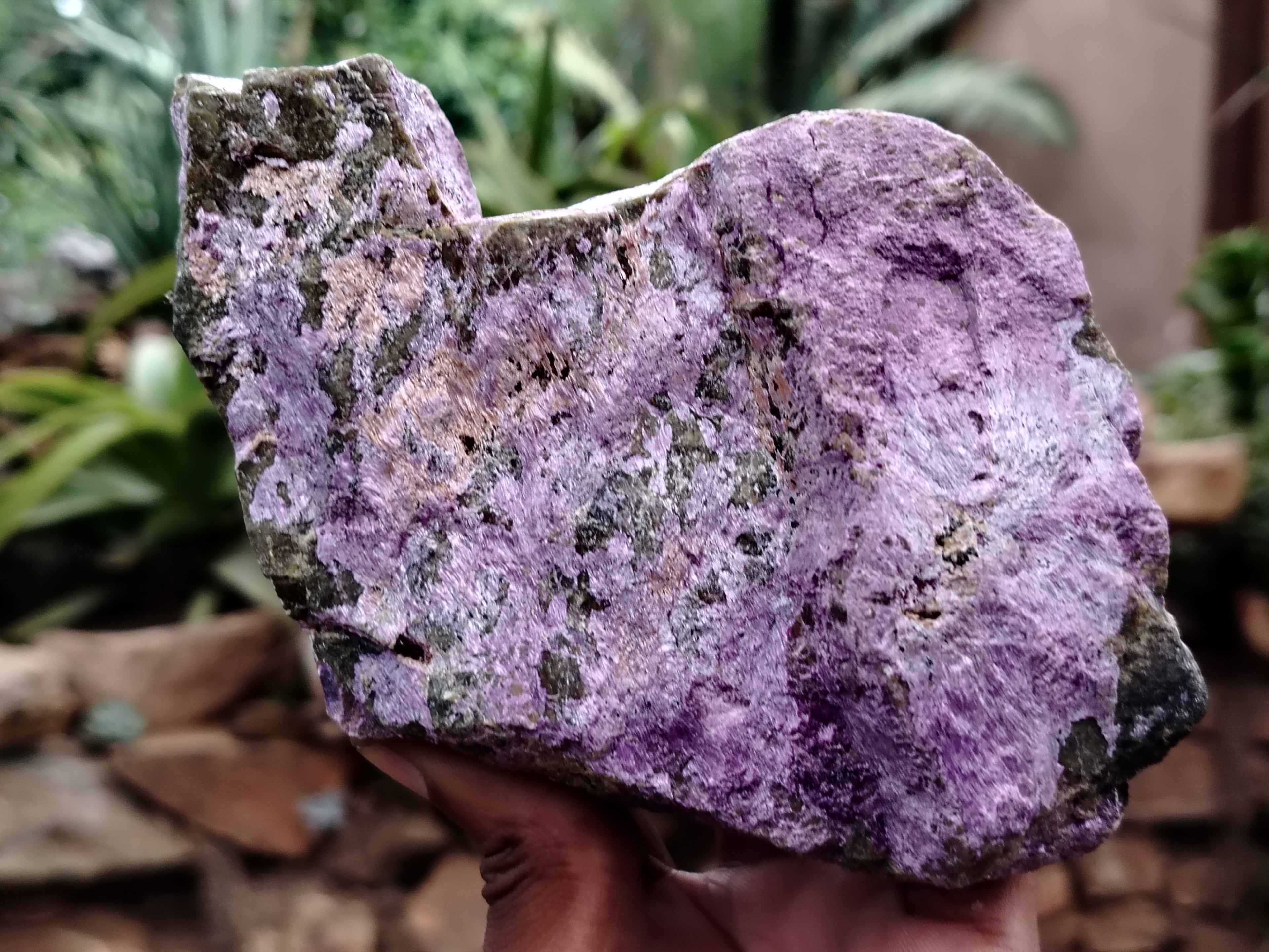 Natural Stichtite Cobbed Specimens x 3 From Barberton, South Africa - Toprock Gemstones and Minerals 