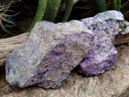 Natural Stichtite Cobbed Specimens x 3 From Barberton, South Africa - Toprock Gemstones and Minerals 
