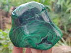 Polished Flower Banded Malachite Free Forms x 3 From Congo - Toprock Gemstones and Minerals 