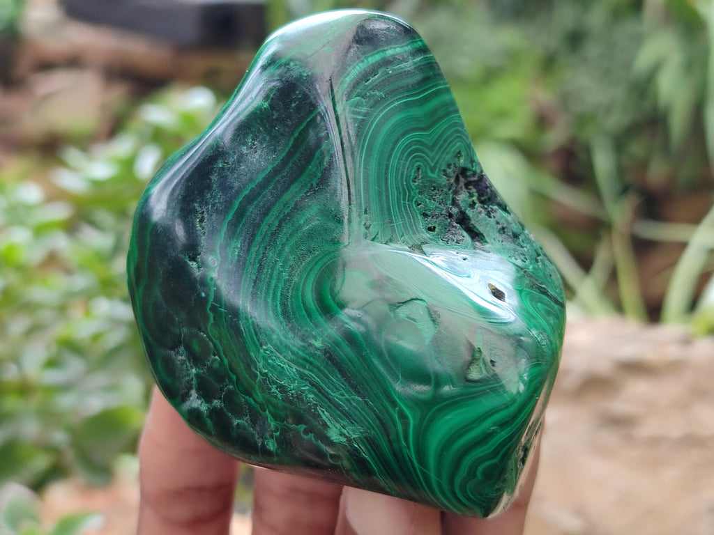 Polished Flower Banded Malachite Free Forms x 3 From Congo - Toprock Gemstones and Minerals 