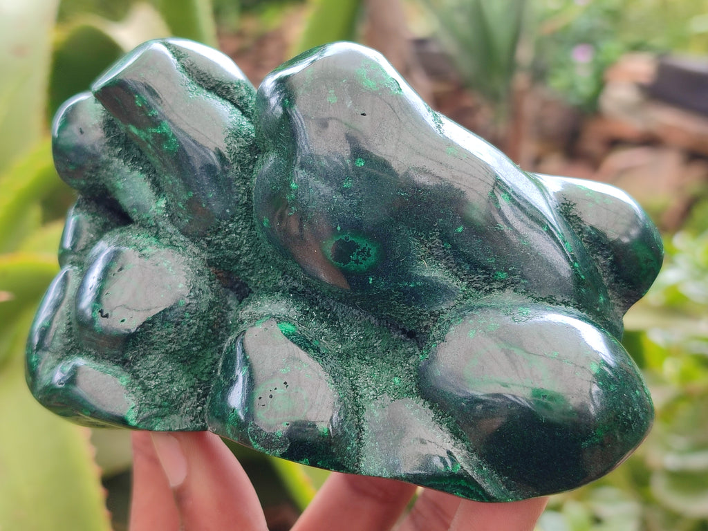 Polished Flower Banded Malachite Free Forms x 3 From Congo - Toprock Gemstones and Minerals 