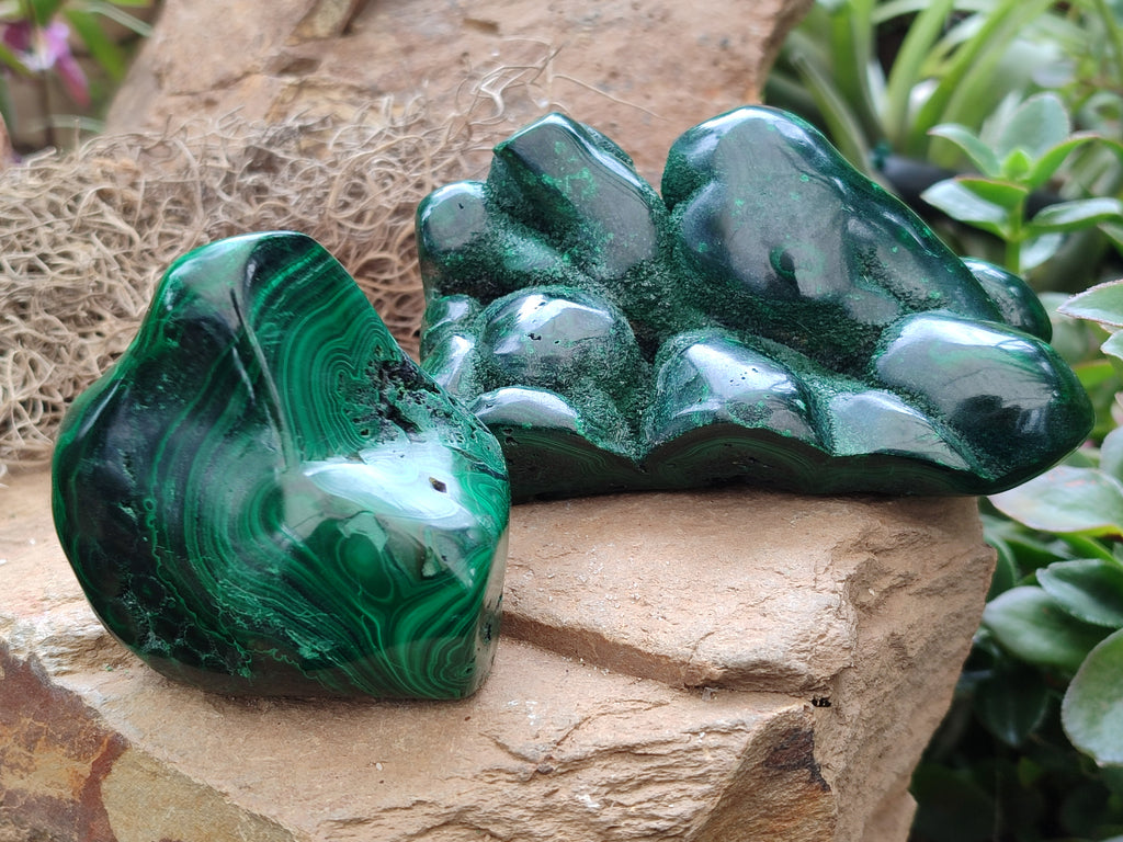 Polished Flower Banded Malachite Free Forms x 3 From Congo - Toprock Gemstones and Minerals 