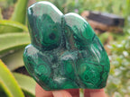Polished Flower Banded Malachite Free Forms x 3 From Congo - Toprock Gemstones and Minerals 