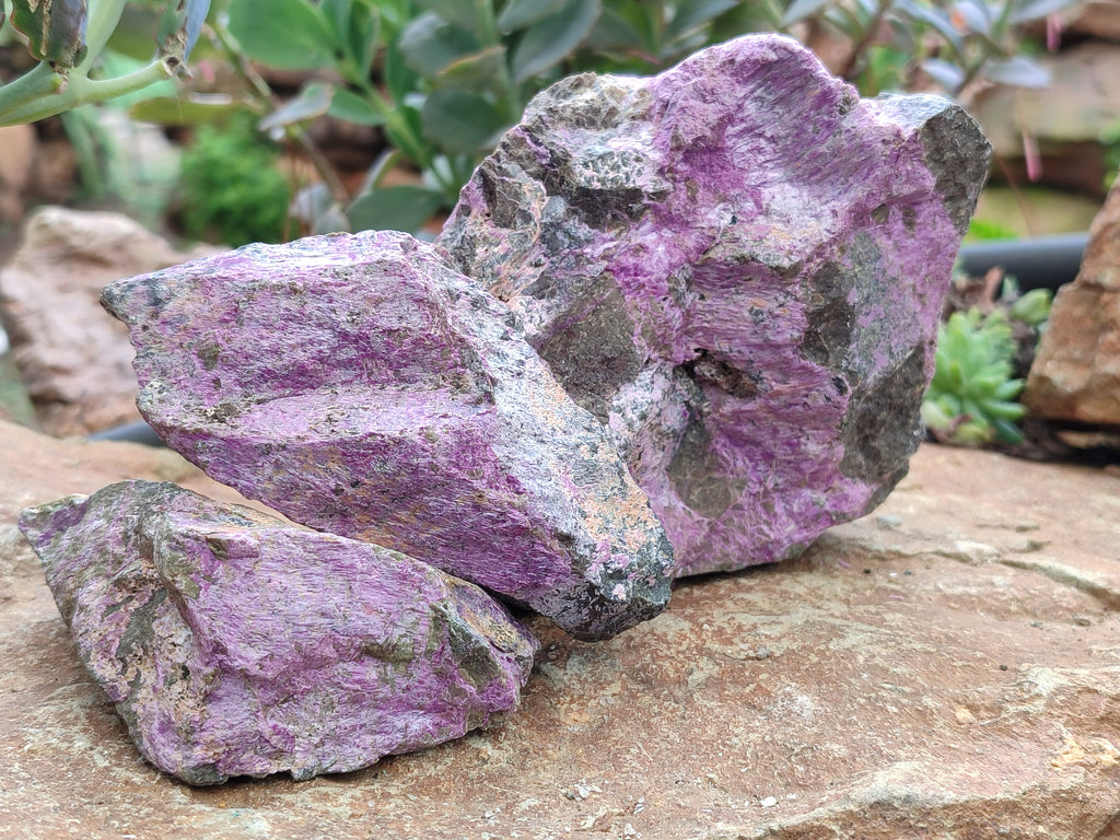 Natural Stichtite Cobbed Specimens x 13 From Barberton, South Africa - Toprock Gemstones and Minerals 