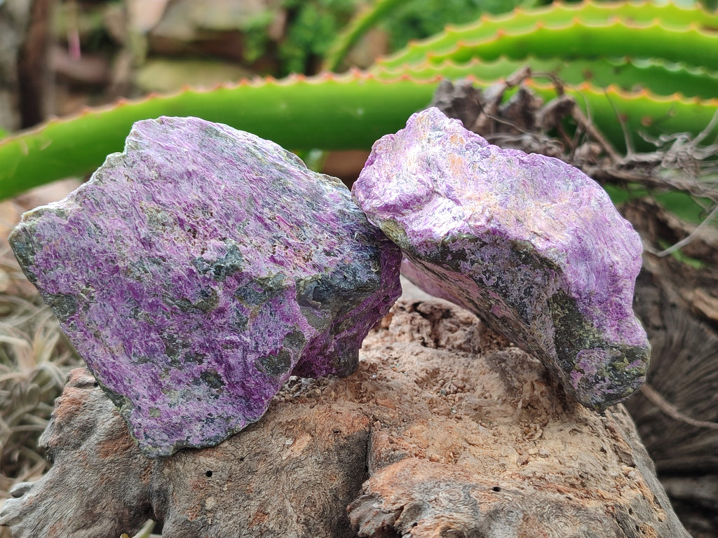 Natural Stichtite Cobbed Specimens x 13 From Barberton, South Africa - Toprock Gemstones and Minerals 