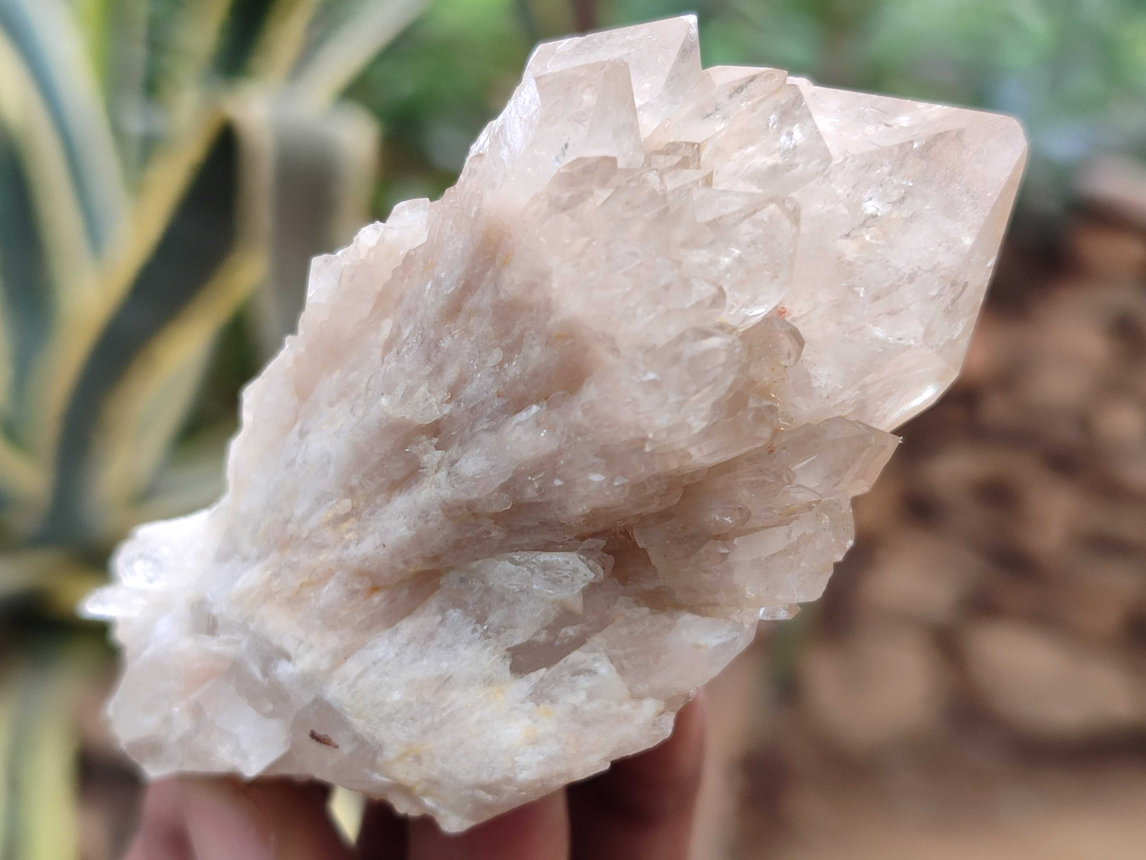 Natural Smokey Phantom Quartz Clusters x 12 From Luena, Congo - Toprock Gemstones and Minerals 