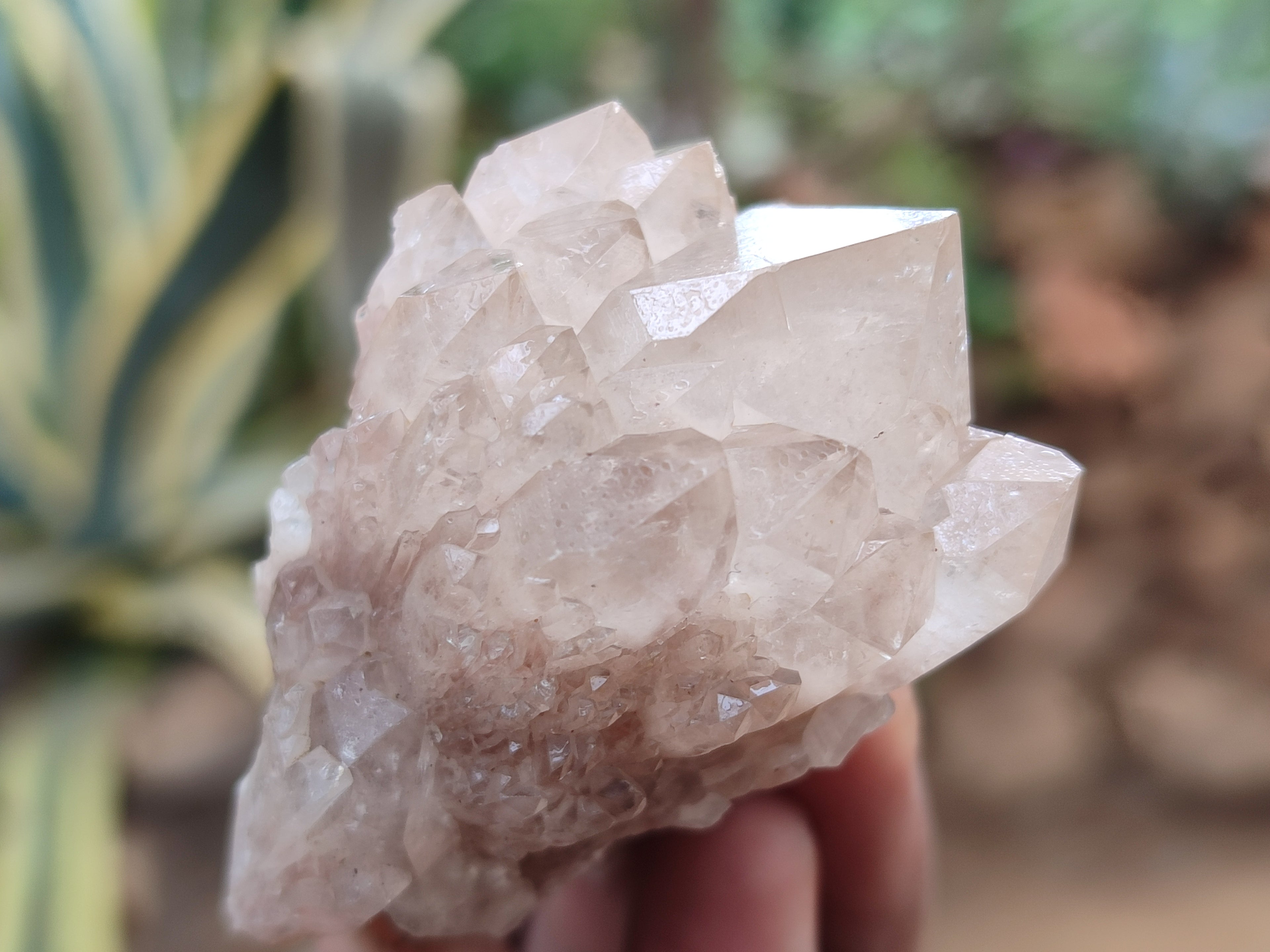 Natural Smokey Phantom Quartz Clusters x 12 From Luena, Congo - Toprock Gemstones and Minerals 