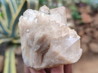 Natural Smokey Phantom Quartz Clusters x 12 From Luena, Congo - Toprock Gemstones and Minerals 