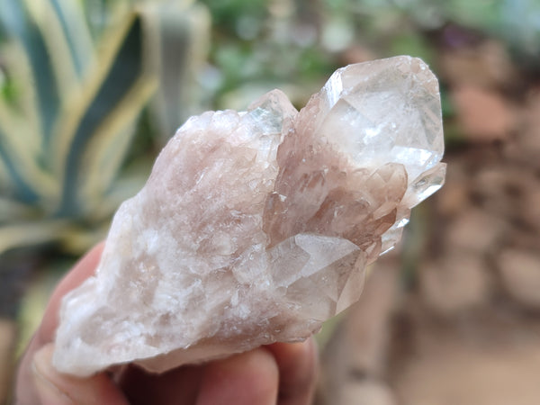 Natural Smokey Phantom Quartz Clusters x 12 From Luena, Congo - Toprock Gemstones and Minerals 