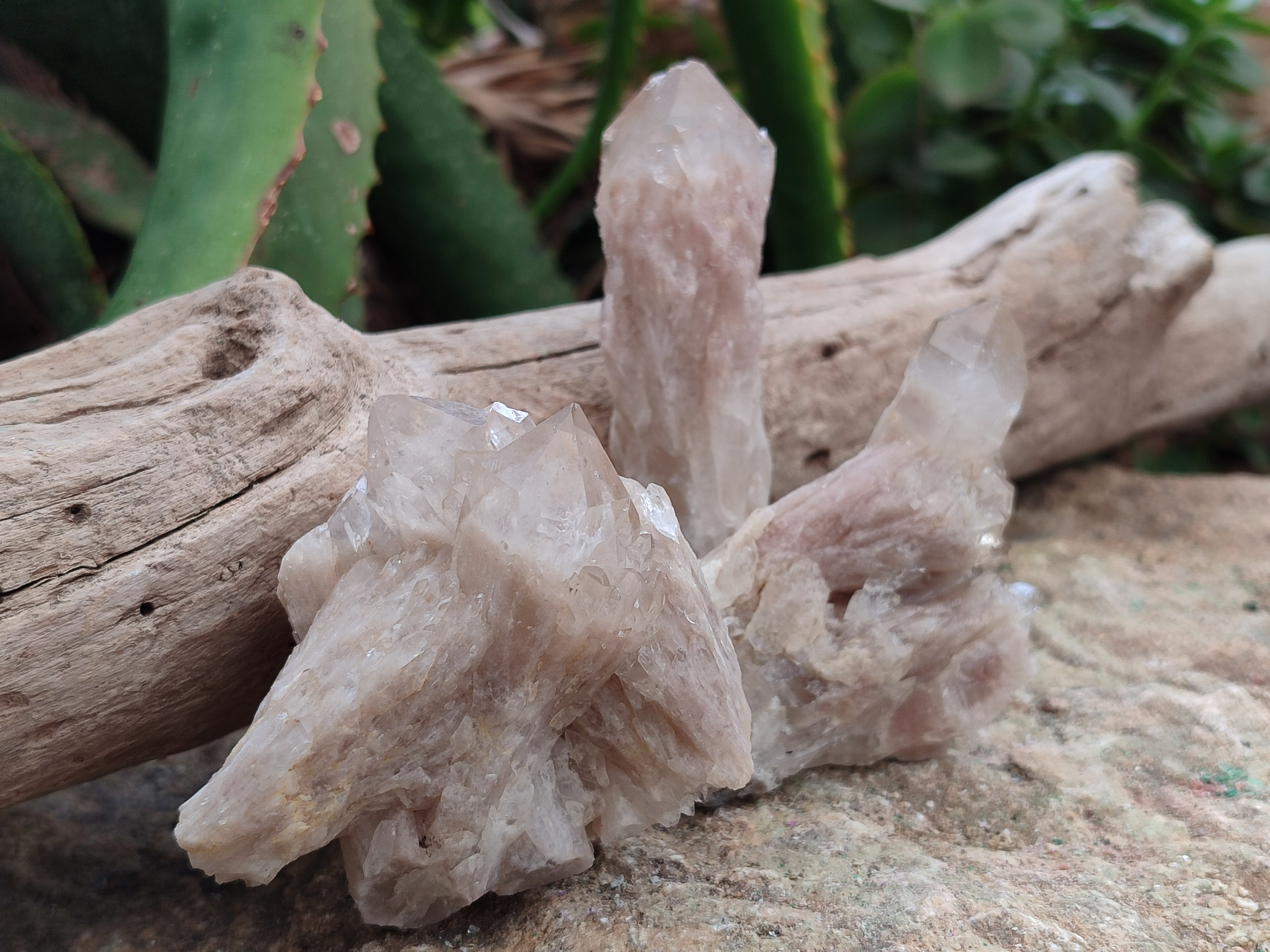 Natural Smokey Phantom Quartz Clusters x 12 From Luena, Congo - Toprock Gemstones and Minerals 
