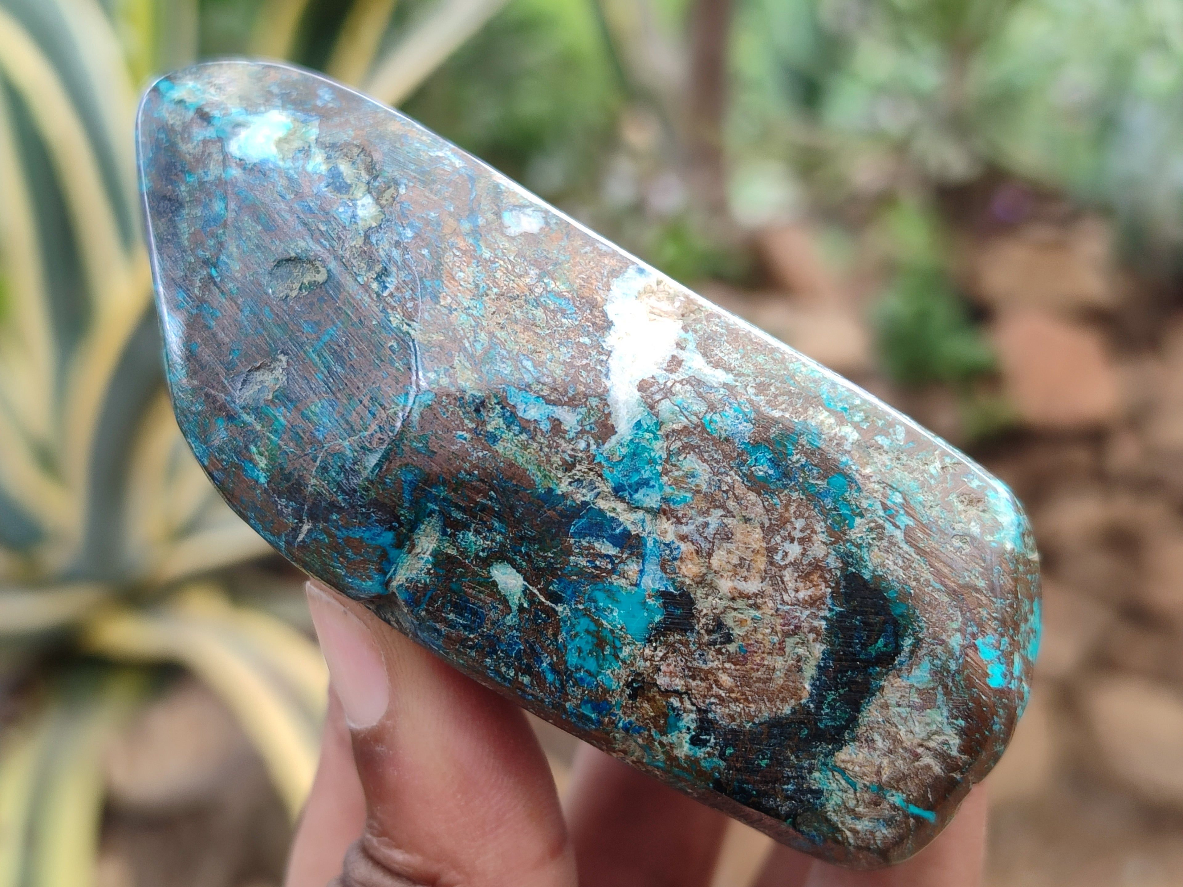 Polished Shattuckite With Chrysocolla and Azurite Free Forms x 12 From Congo - Toprock Gemstones and Minerals 