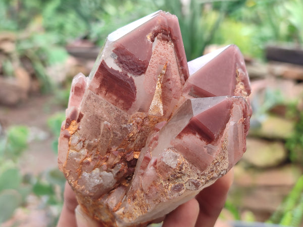 Natural Red Hematoid Quartz Clusters x 6 From Karoi, Zimbabwe