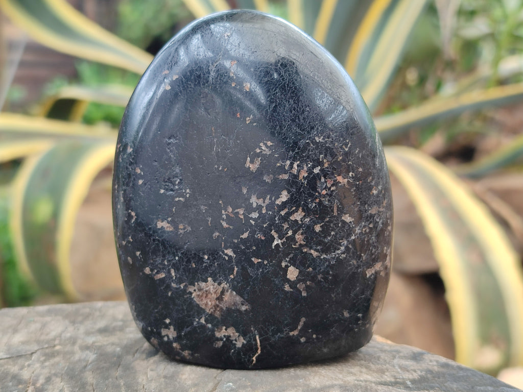 Polished Black Tourmaline Standing Free Forms x 2 From Madagascar - Toprock Gemstones and Minerals 