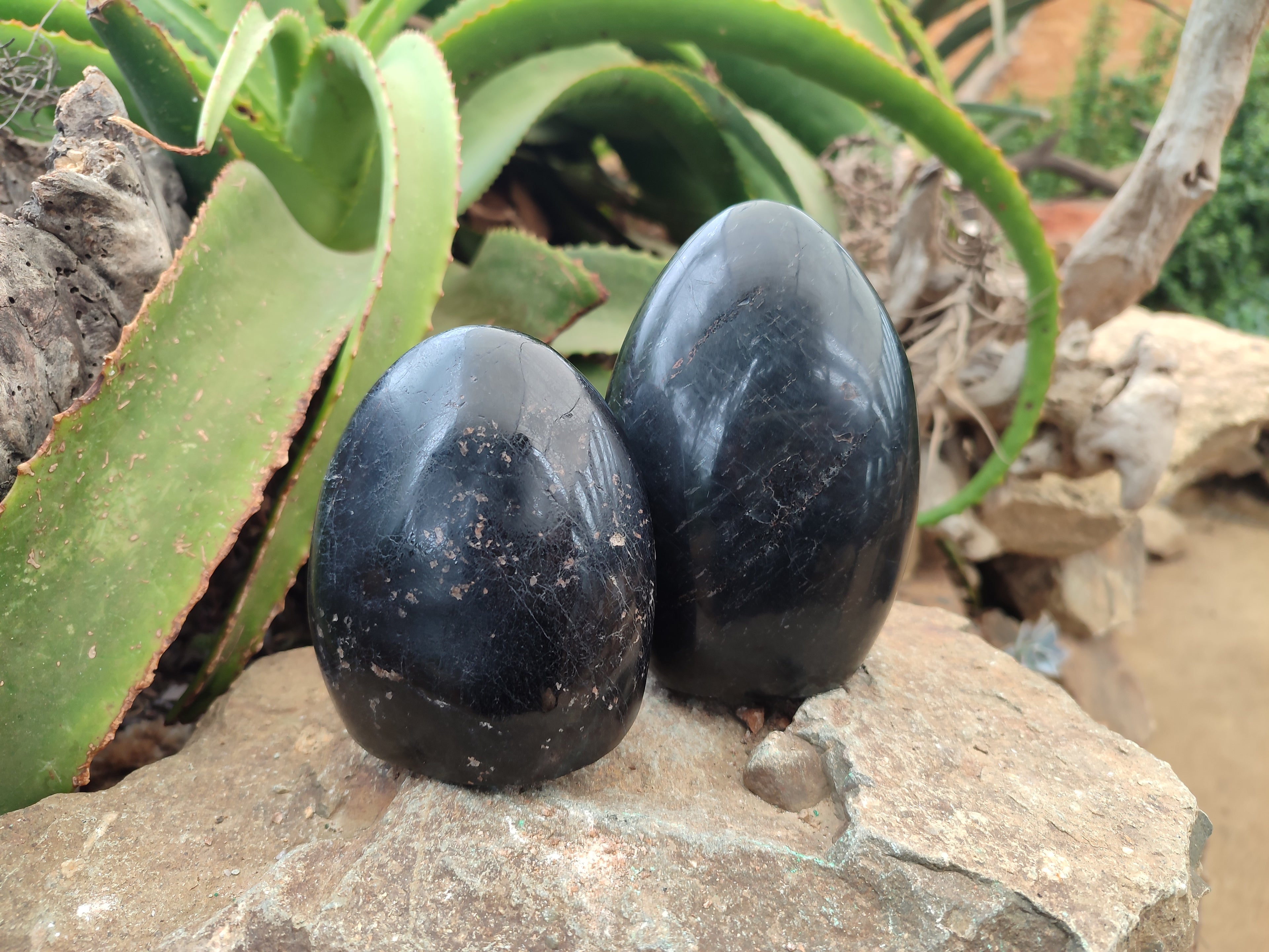 Polished Black Tourmaline Standing Free Forms x 2 From Madagascar - Toprock Gemstones and Minerals 