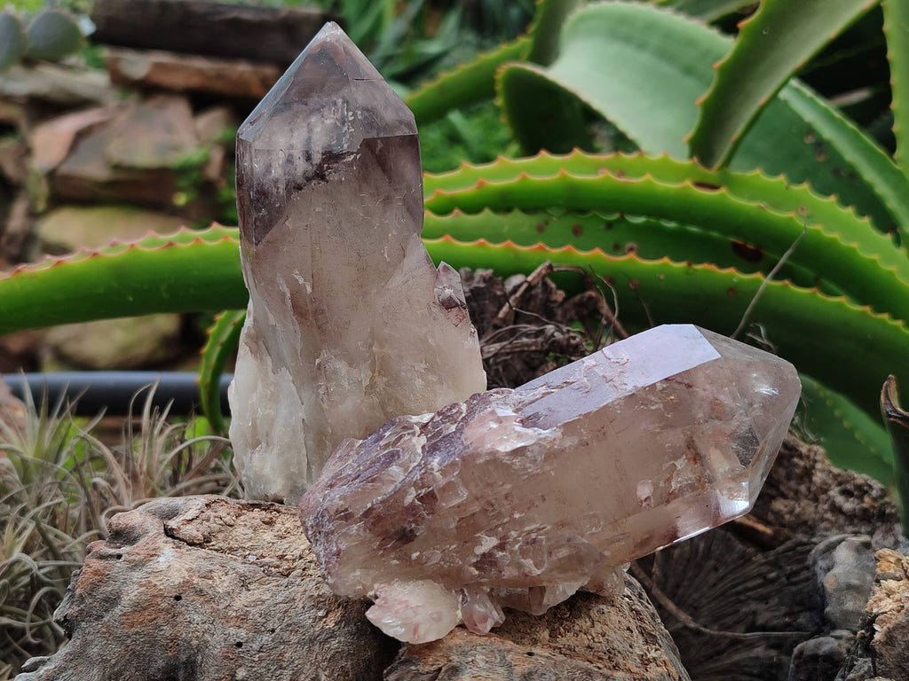 Natural Red Hematoid Quartz Clusters x 6 From Karoi, Zimbabwe - Toprock Gemstones and Minerals 
