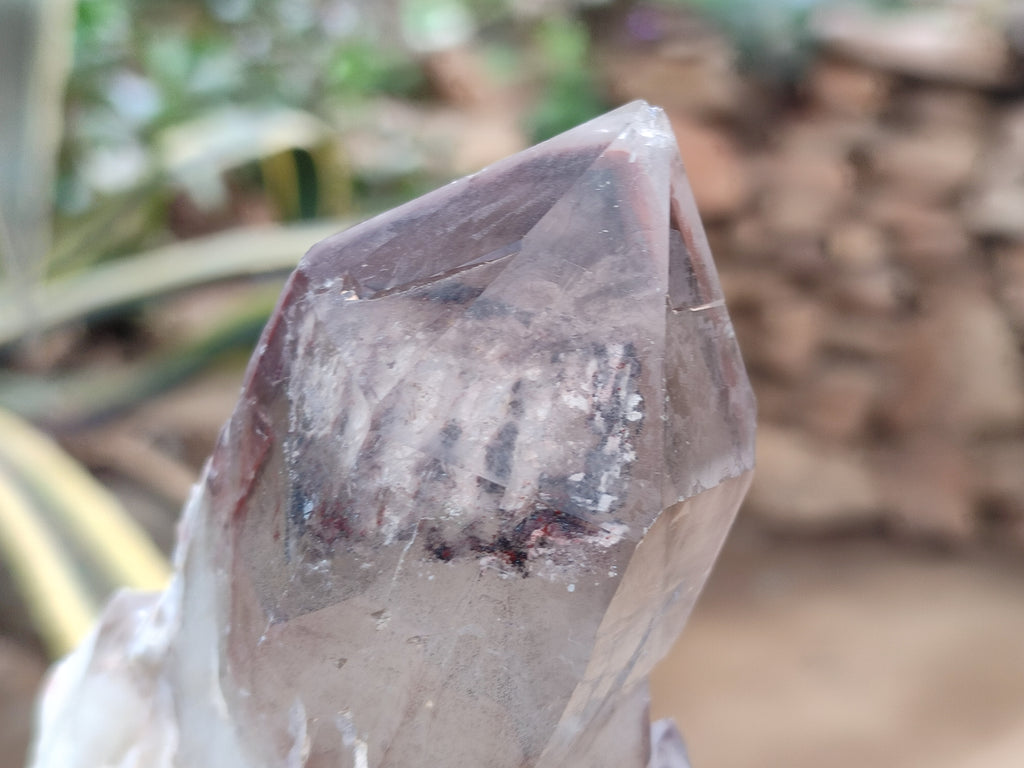 Natural Red Hematoid Quartz Clusters x 6 From Karoi, Zimbabwe - Toprock Gemstones and Minerals 