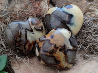 Polished Septerye Hearts x 6 From Mahajanga, Madagascar