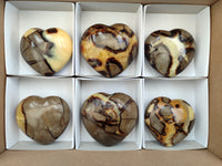 Polished Septerye Hearts x 6 From Mahajanga, Madagascar