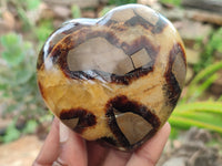Polished Septerye Hearts x 6 From Mahajanga, Madagascar
