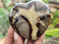Polished Septerye Hearts x 6 From Mahajanga, Madagascar