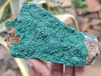 Natural Botryoidal Malachite Specimens x 6 From Congo - Toprock Gemstones and Minerals 