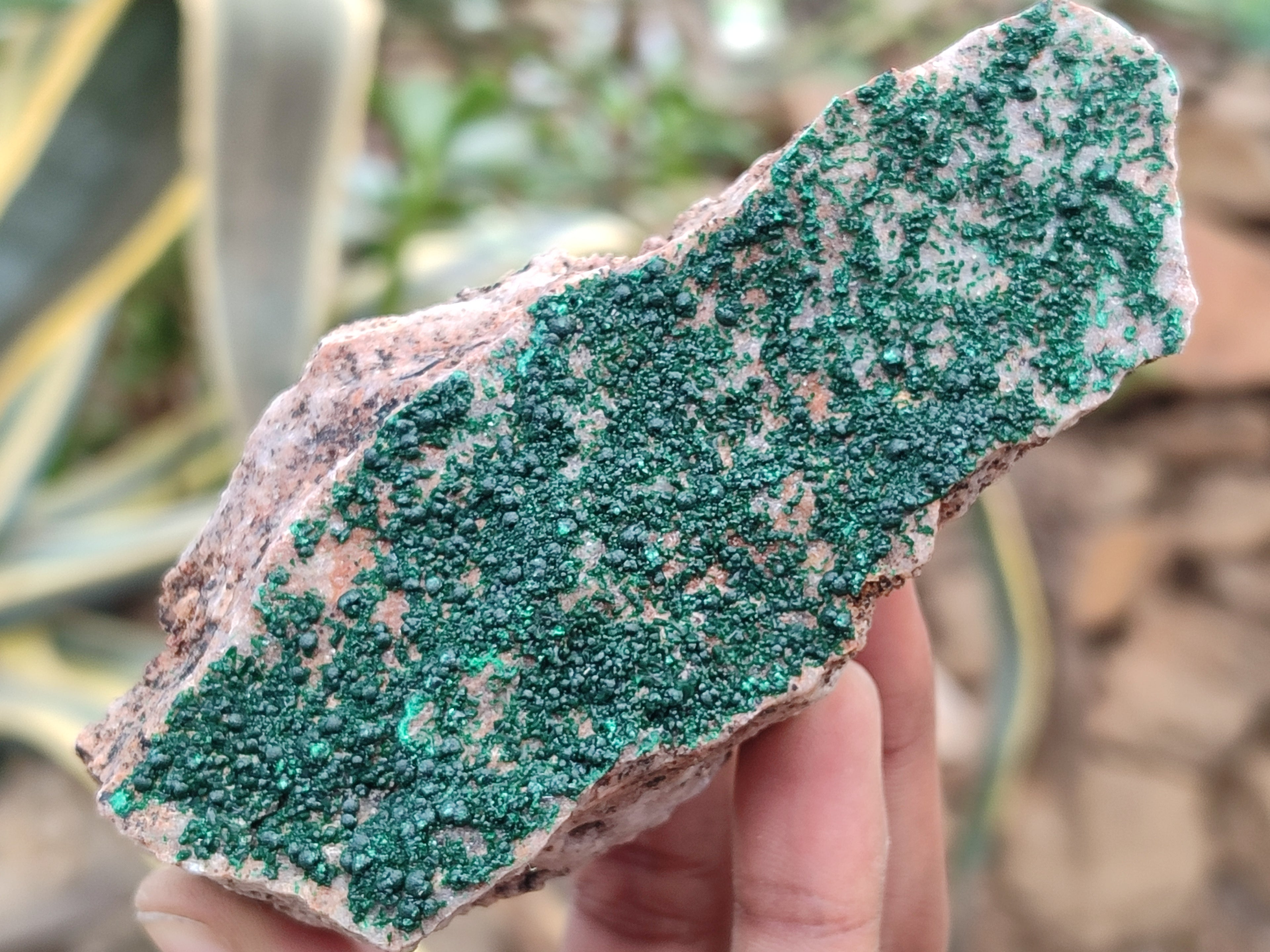 Natural Botryoidal Malachite Specimens x 6 From Congo - Toprock Gemstones and Minerals 