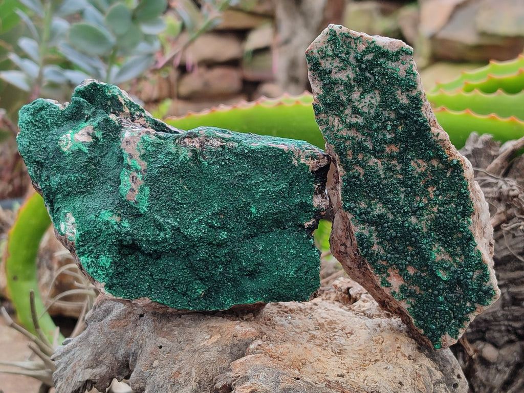 Natural Botryoidal Malachite Specimens x 6 From Congo - Toprock Gemstones and Minerals 