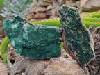 Natural Botryoidal Malachite Specimens x 6 From Congo - Toprock Gemstones and Minerals 