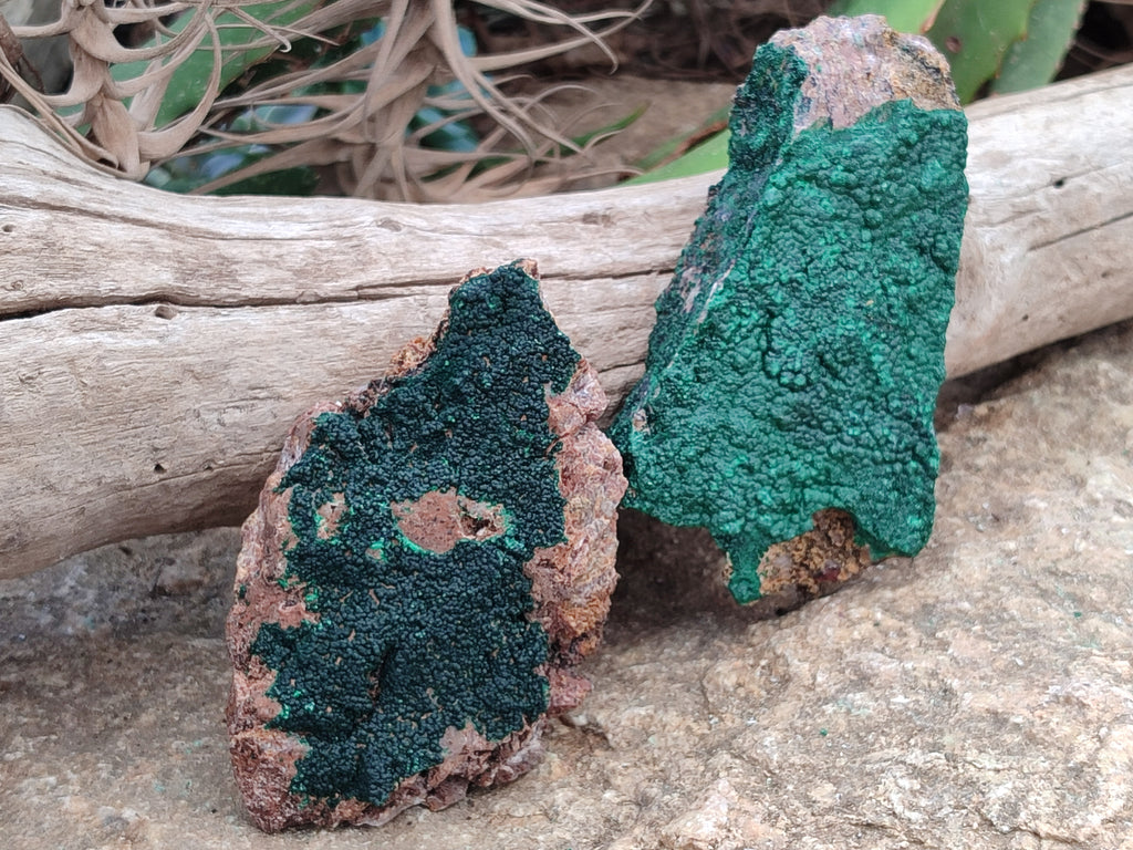 Natural Botryoidal Malachite Specimens x 6 From Congo - Toprock Gemstones and Minerals 