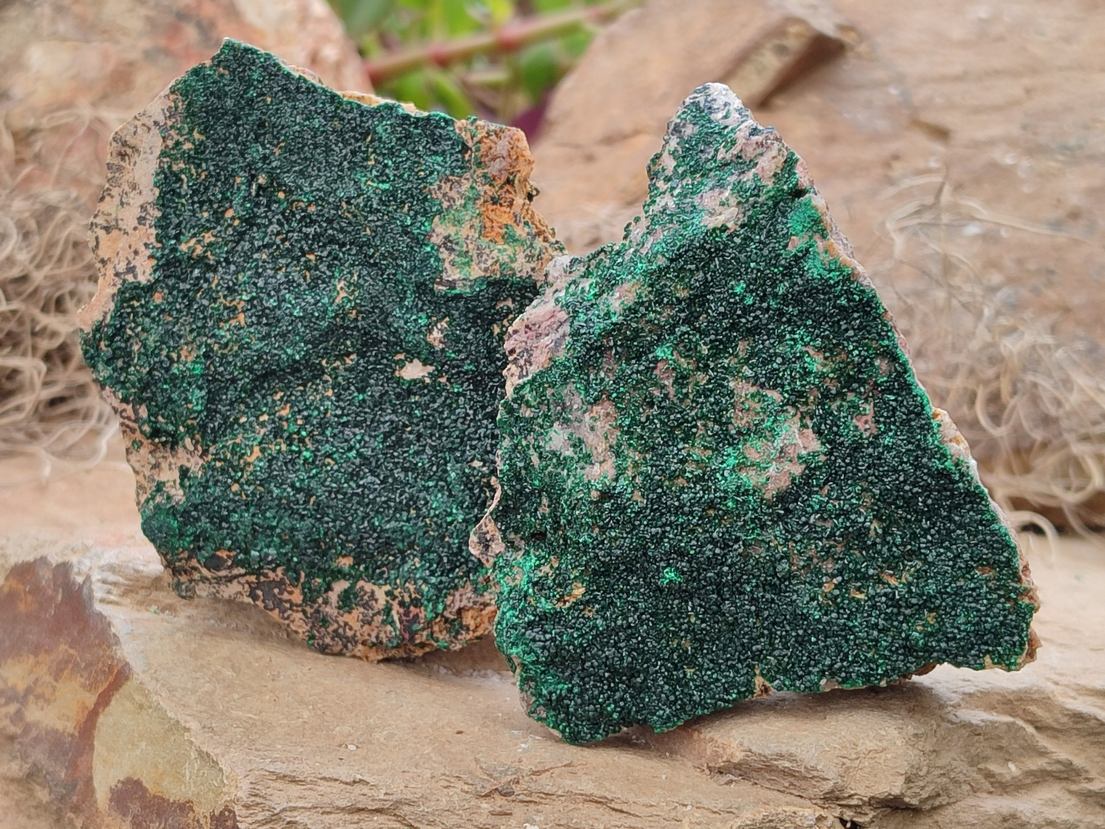 Natural Botryoidal Malachite Specimens x 6 From Congo - Toprock Gemstones and Minerals 