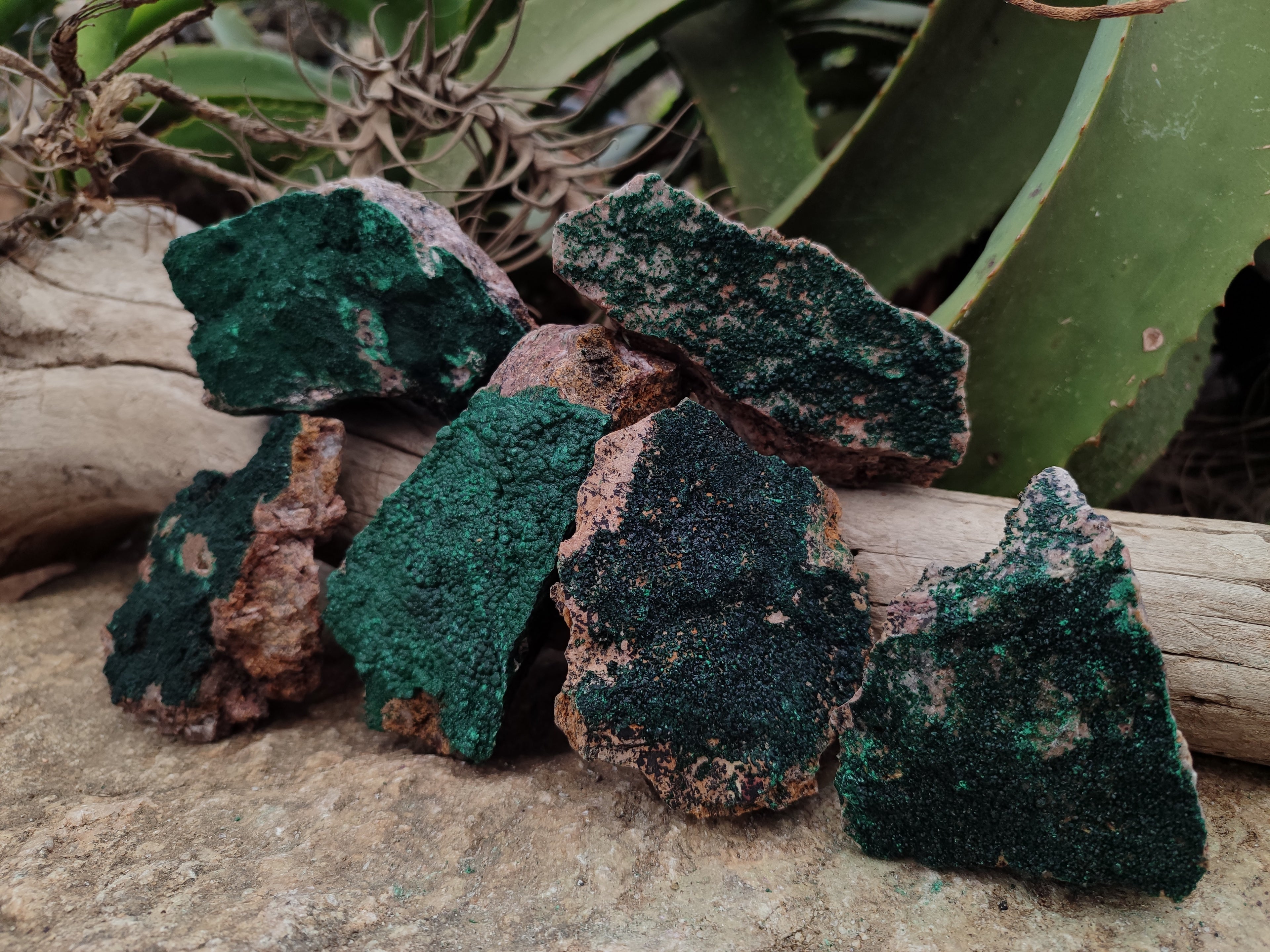 Natural Botryoidal Malachite Specimens x 6 From Congo - Toprock Gemstones and Minerals 