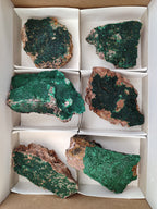 Natural Botryoidal Malachite Specimens x 6 From Congo - Toprock Gemstones and Minerals 