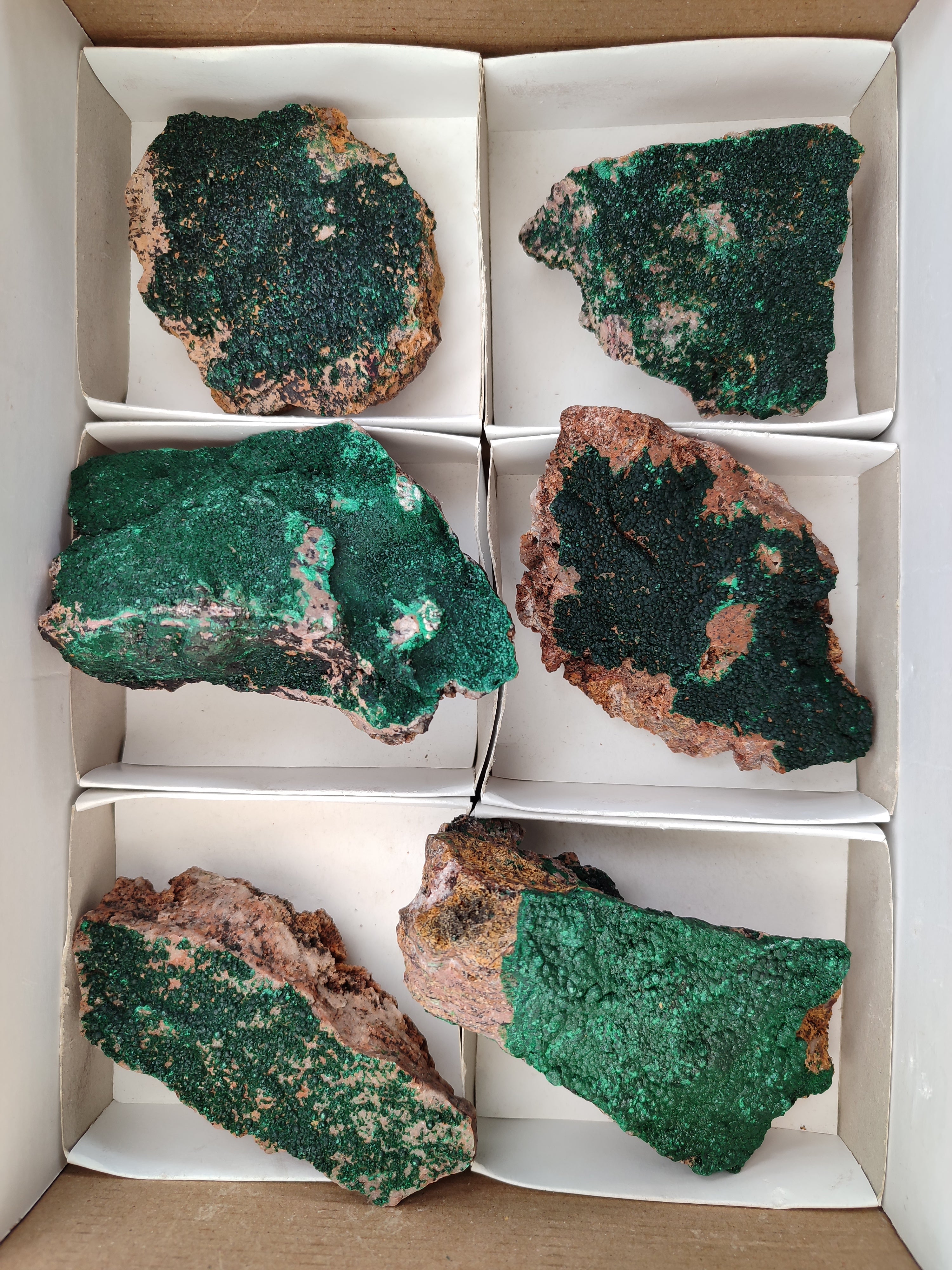 Natural Botryoidal Malachite Specimens x 6 From Congo - Toprock Gemstones and Minerals 