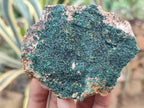 Natural Botryoidal Malachite Specimens x 6 From Congo - Toprock Gemstones and Minerals 