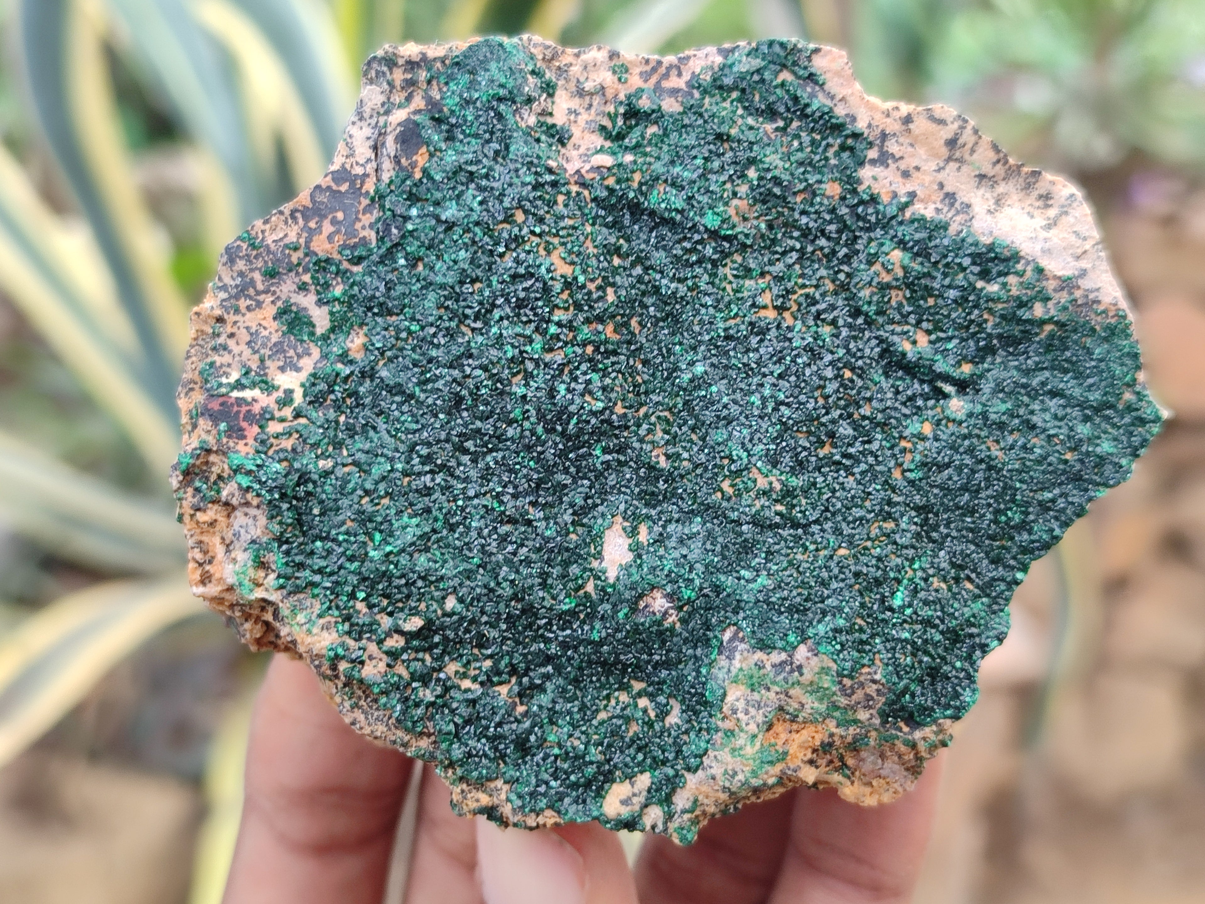 Natural Botryoidal Malachite Specimens x 6 From Congo - Toprock Gemstones and Minerals 