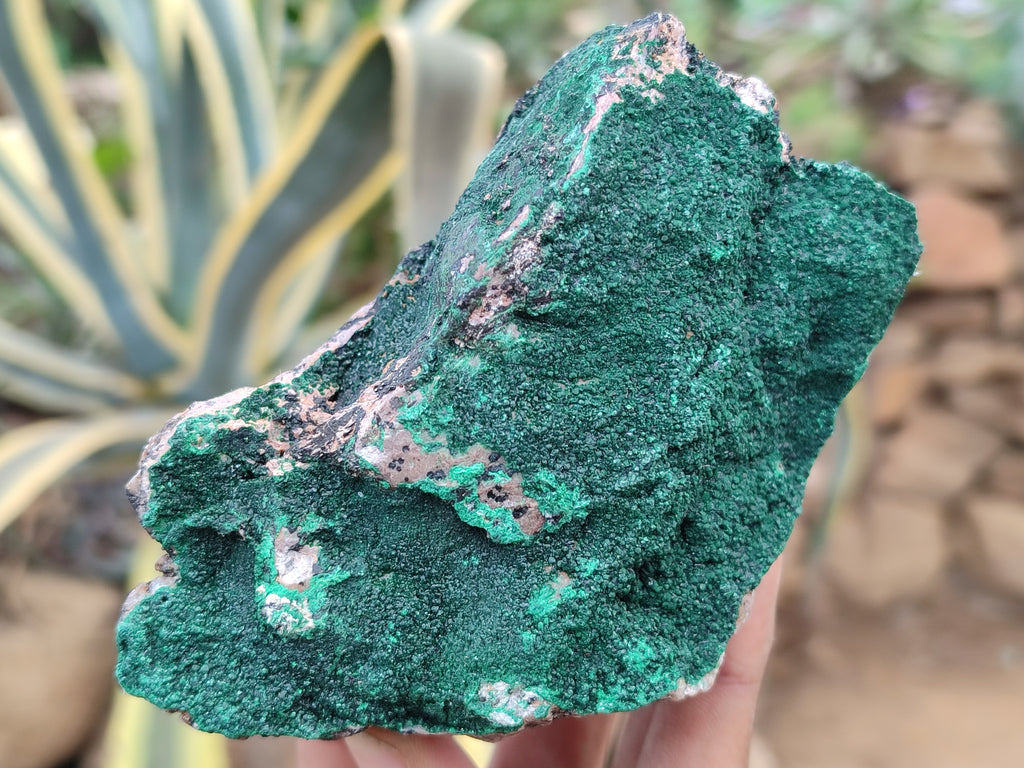 Natural Botryoidal Malachite Specimens x 6 From Congo - Toprock Gemstones and Minerals 