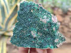 Natural Botryoidal Malachite Specimens x 6 From Congo - Toprock Gemstones and Minerals 