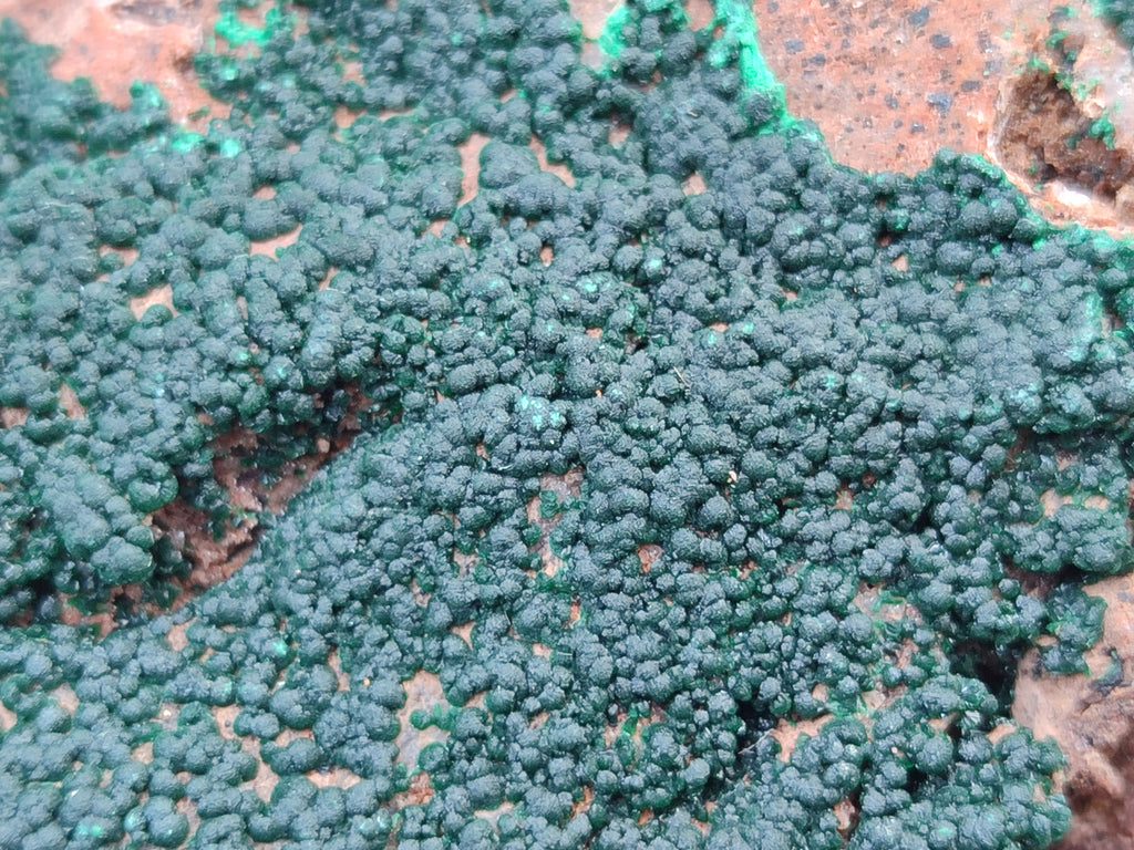 Natural Botryoidal Malachite Specimens x 6 From Congo - Toprock Gemstones and Minerals 