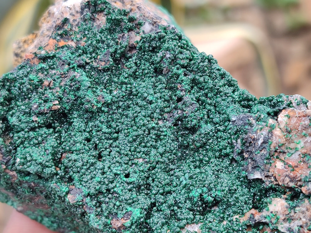 Natural Botryoidal Malachite Specimens x 6 From Congo - Toprock Gemstones and Minerals 