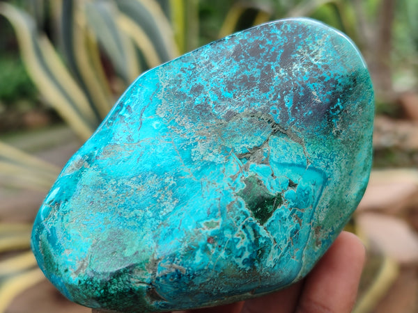 Polished Shattuckite With Chrysocolla and Azurite Free Forms x 3 From Congo - Toprock Gemstones and Minerals 