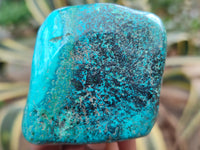 Polished Shattuckite With Chrysocolla and Azurite Free Forms x 3 From Congo - Toprock Gemstones and Minerals 