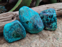 Polished Shattuckite With Chrysocolla and Azurite Free Forms x 3 From Congo - Toprock Gemstones and Minerals 