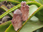 Natural Red Hematoid Quartz Crystals x 35 From Karoi, Zimbabwe - Toprock Gemstones and Minerals 