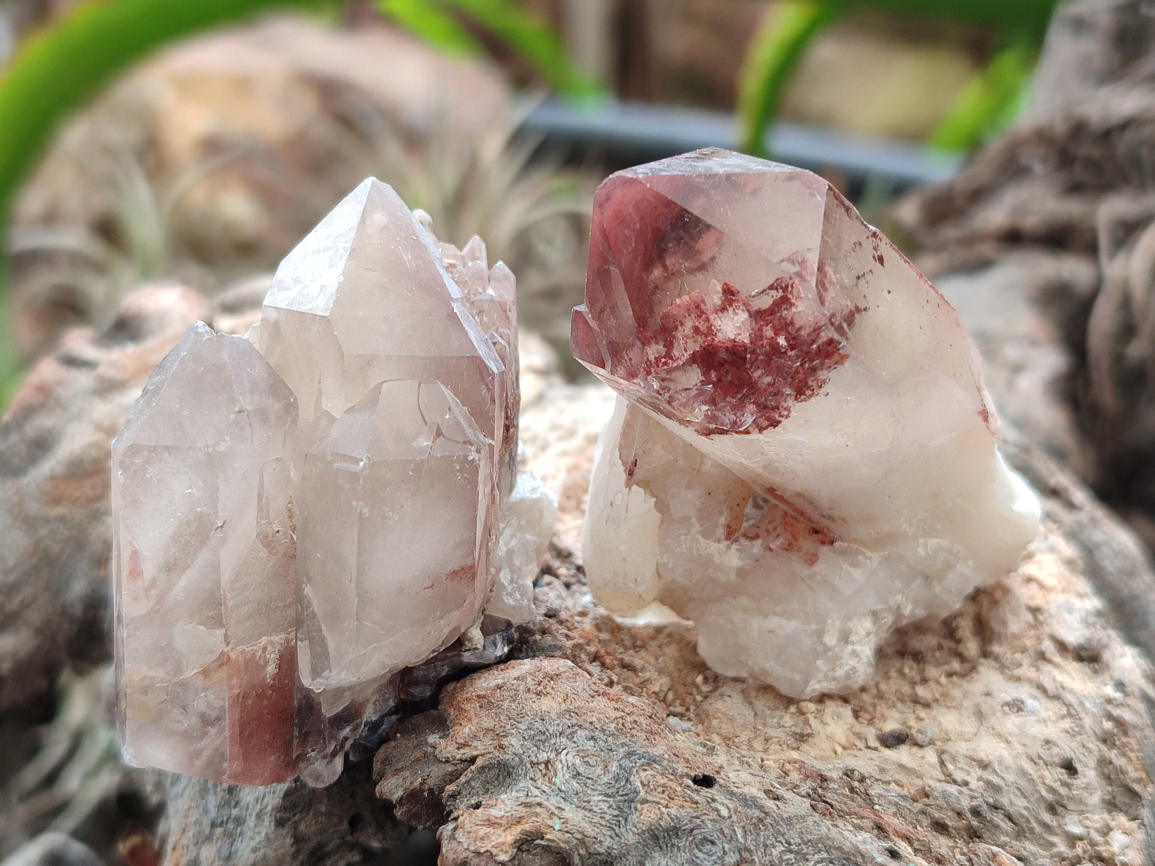Natural Red Hematoid Quartz Crystals x 35 From Karoi, Zimbabwe - Toprock Gemstones and Minerals 