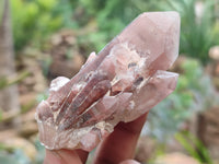 Natural Red Hematoid Quartz Crystals x 35 From Karoi, Zimbabwe - Toprock Gemstones and Minerals 