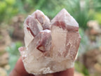 Natural Red Hematoid Quartz Crystals x 35 From Karoi, Zimbabwe - Toprock Gemstones and Minerals 