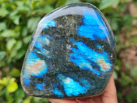 Polished Labradorite Standing Free Forms x 3 From Tulear, Madagascar - Toprock Gemstones and Minerals 