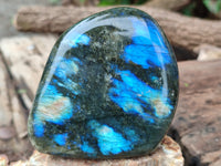 Polished Labradorite Standing Free Forms x 3 From Tulear, Madagascar - Toprock Gemstones and Minerals 