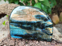 Polished Labradorite Standing Free Forms x 3 From Tulear, Madagascar - Toprock Gemstones and Minerals 